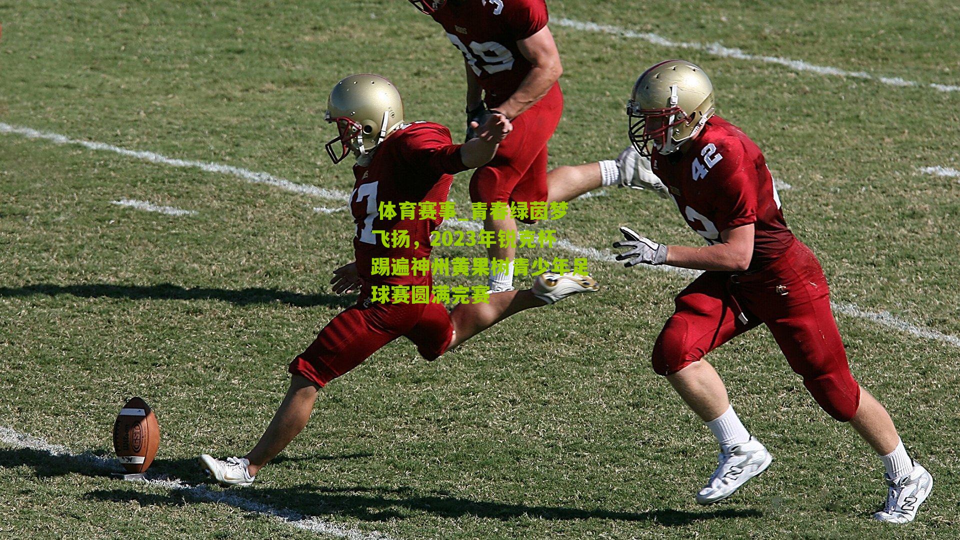  体育赛事_青春绿茵梦飞扬，2023年锐克杯踢遍神州黄果树青少年足球赛圆满完赛