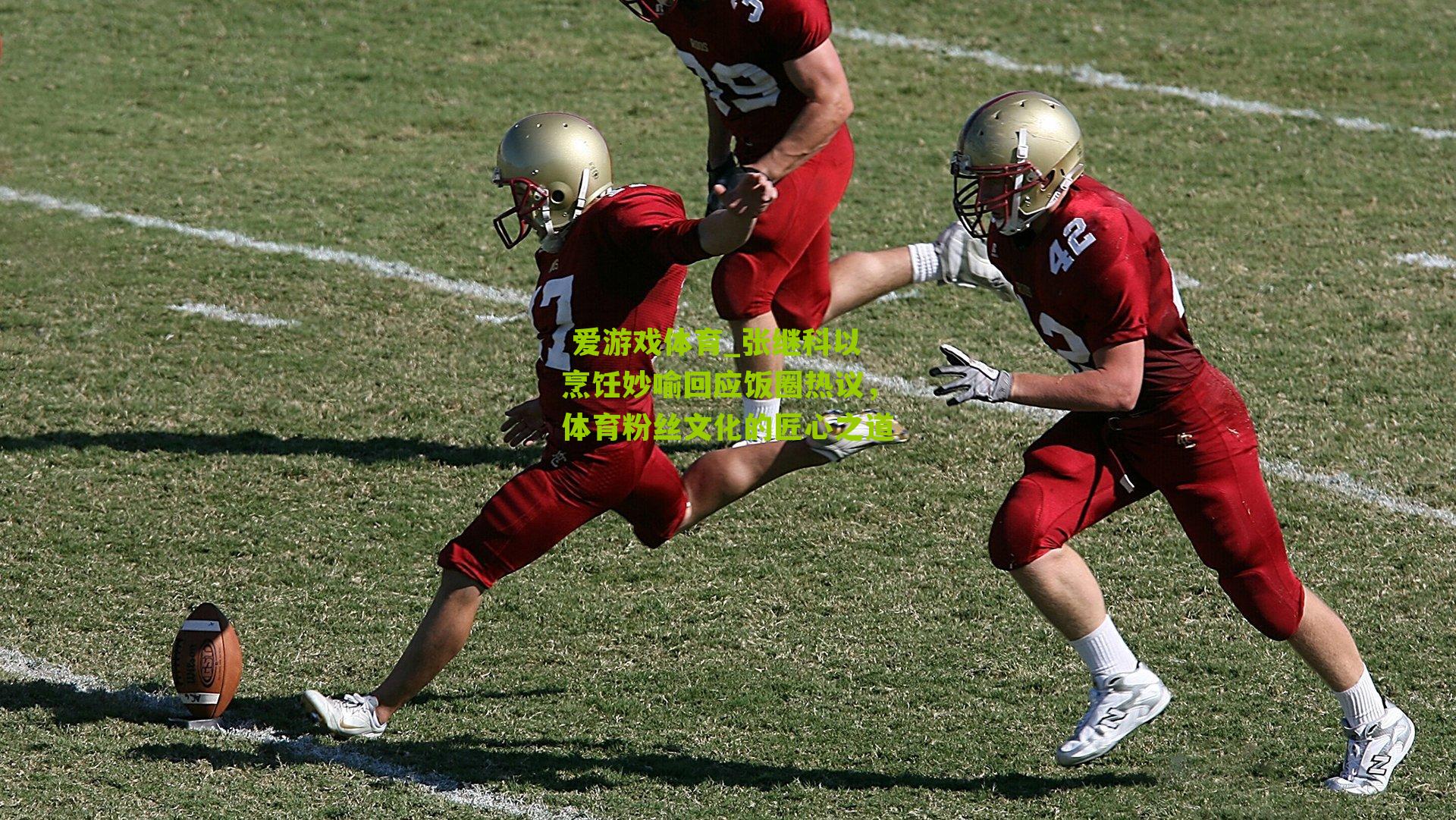  爱游戏体育_张继科以烹饪妙喻回应饭圈热议，体育粉丝文化的匠心之道